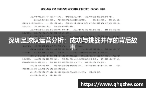 深圳足球队运营分析：成功与挑战并存的背后故事